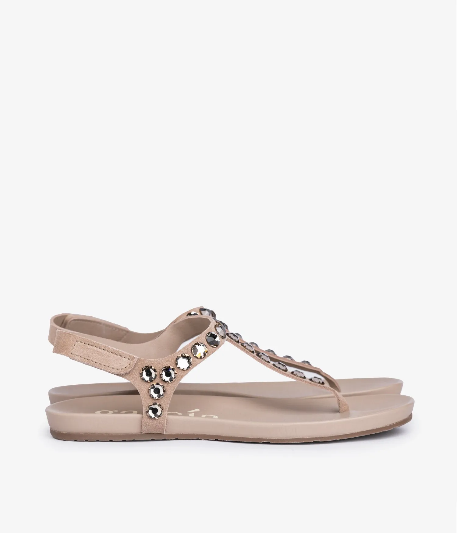 judith / sirocco castoro