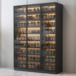 PHILIP Modern Glass Shoe Cabinet